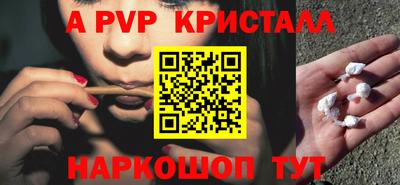 СК Новокубанск