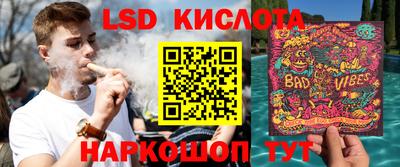 сатива Новодвинск