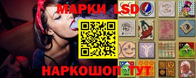 сатива Новодвинск