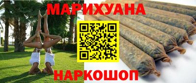 сатива Новодвинск