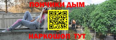 сатива Новодвинск