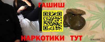 сатива Новодвинск
