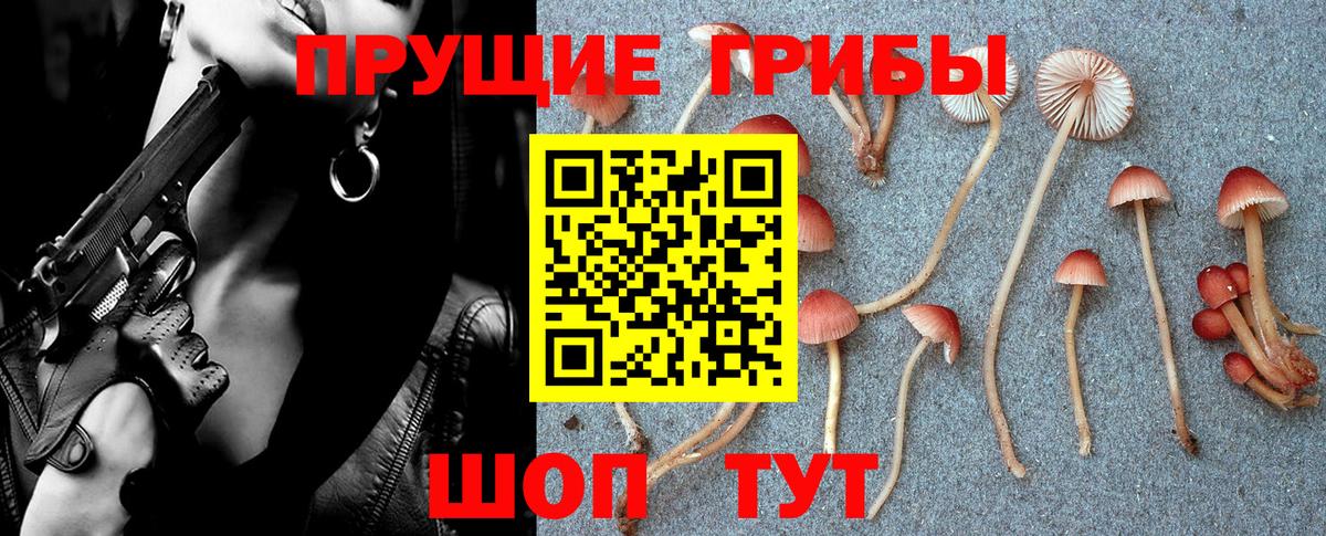 купить наркотики цена  Псилоцибиновые грибы MAGIC MUSHROOMS  Вход с VPN  Тула 